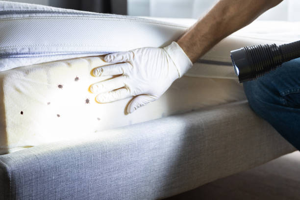 Best Commercial Pest Control Services  in Atmore, AL