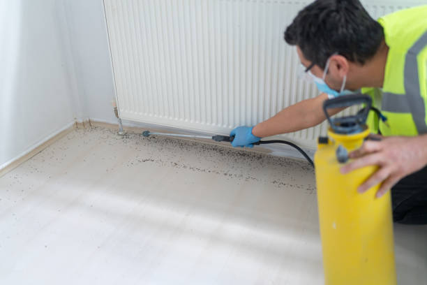 Best Ant Control Services  in Atmore, AL