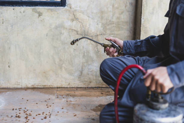 Best Flea Control Services  in Atmore, AL