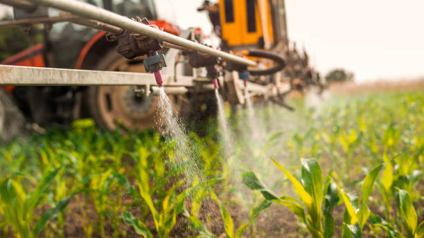 Insect Control in Atmore, AL